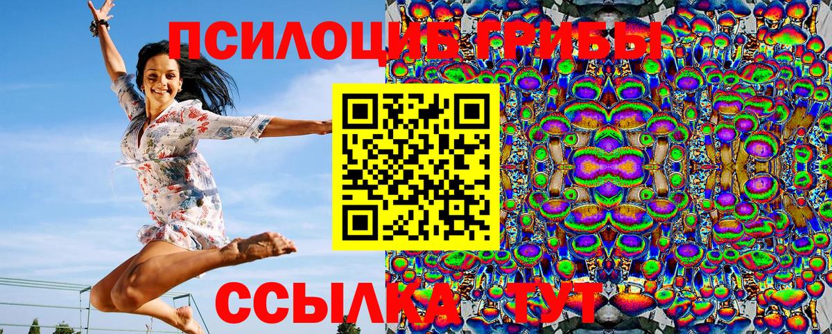 Галлюциногенные грибы Psilocybe Нижнеудинск