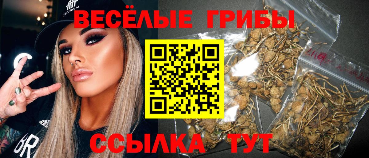 Псилоцибиновые грибы Cubensis  Галлюциногенные грибы ЛСД  продажа наркотиков  Вход с VPN  Нижнеудинск 
